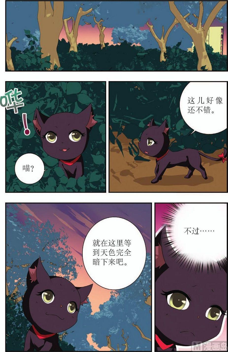 神秘猫咪任务在哪里接漫画,第18话2图