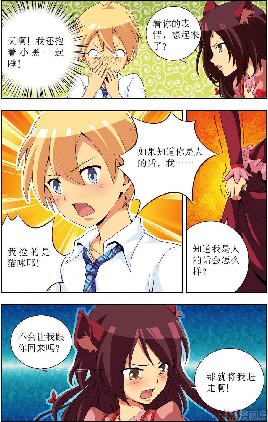 神秘猫头鹰角色介绍漫画,第1话2图