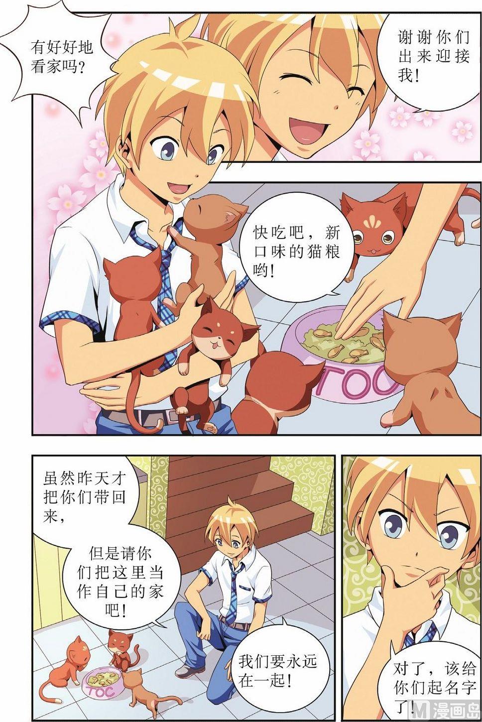 神秘猫头鹰角色介绍漫画,第1话2图