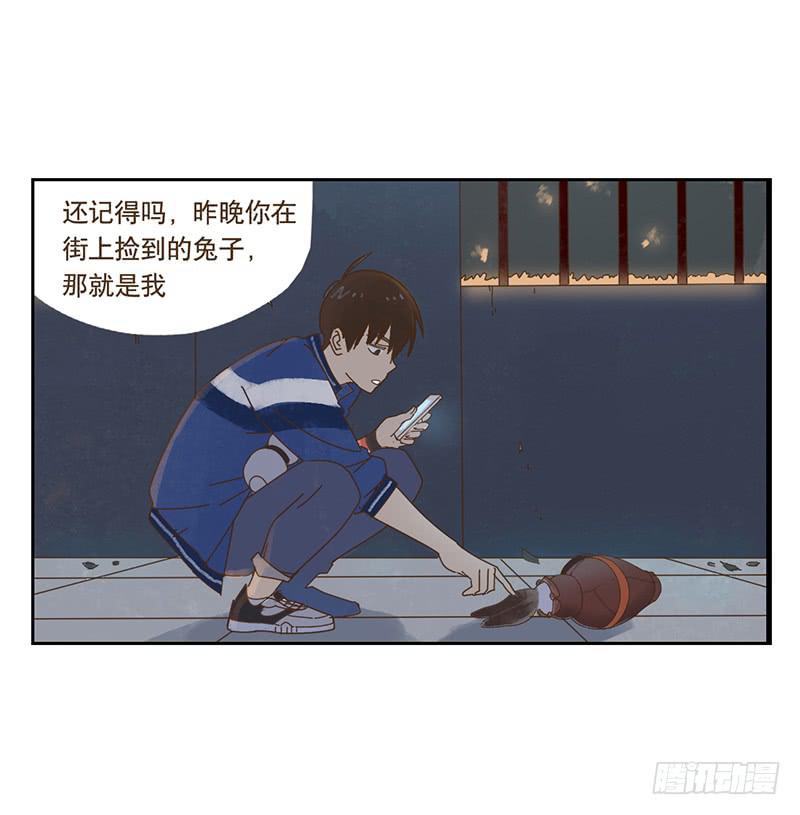 与兔子有关的中药漫画,秘密2图
