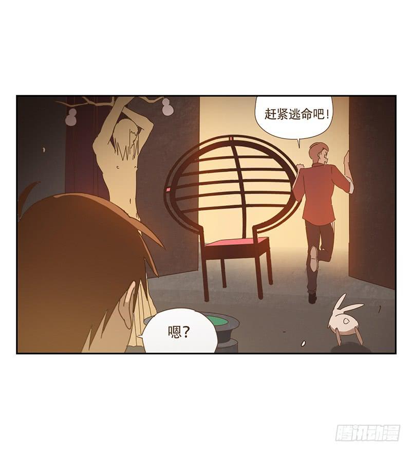 与兔有关的股票漫画,联系2图