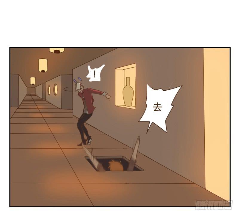 与兔肉相克的食物有哪些漫画,深入1图