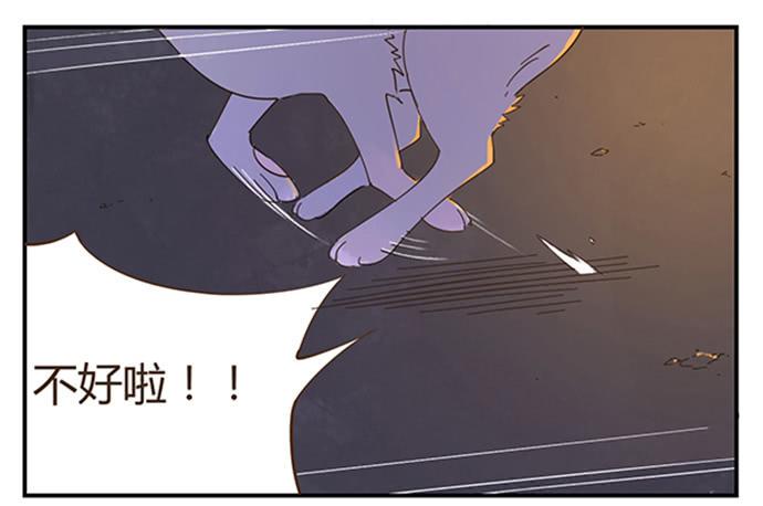 与兔子有关的中药漫画,下凡2图