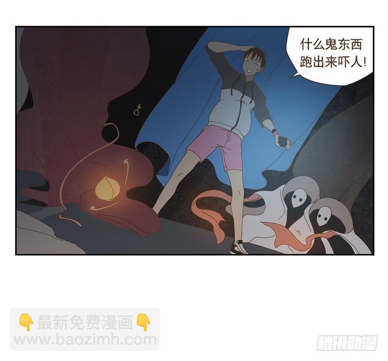 与兔肉相克的食物有哪些漫画,夜启夫人的收藏1图