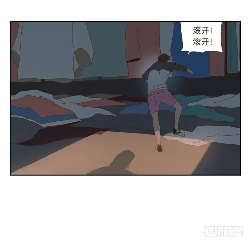 与兔肉相克的食物有哪些漫画,夜启夫人的收藏1图