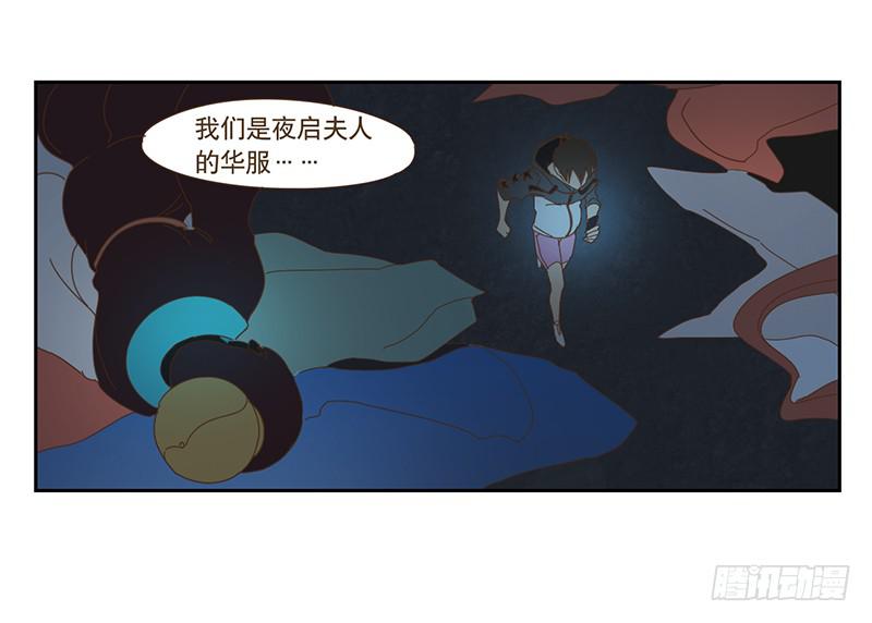 与兔子大战100多年漫画,夜启夫人的收藏1图