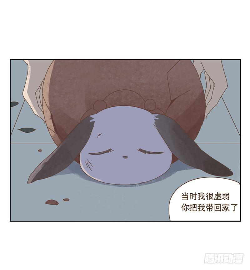 与兔子有关的中药漫画,秘密1图