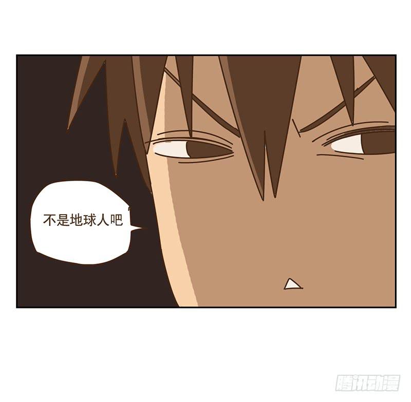 与兔肉相克的食物有哪些漫画,回家1图