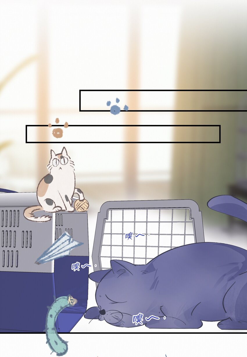 图灵密码漫画,Chap.80 祝你假期快乐1图