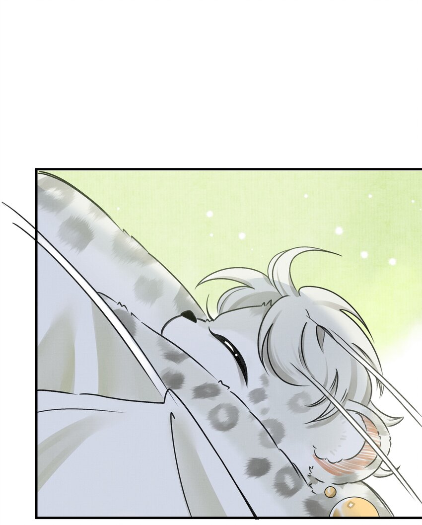 雪豹喜欢咬尾巴小说免费无删减漫画,002 小猫，本王有些冷了1图