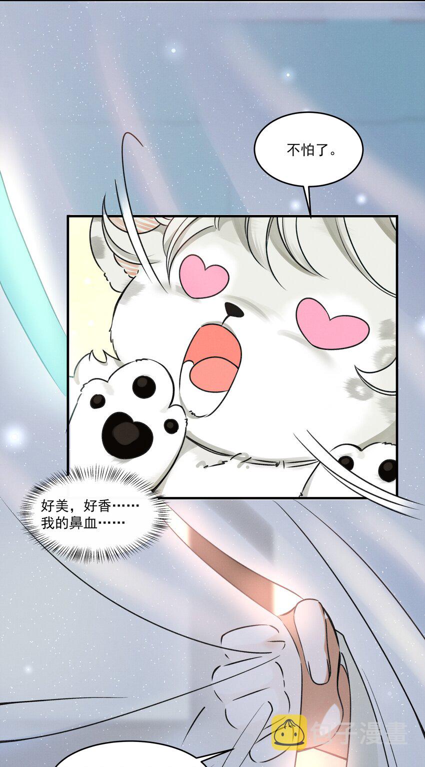 雪豹喜欢咬尾巴小说免费无删减漫画,002 小猫，本王有些冷了1图
