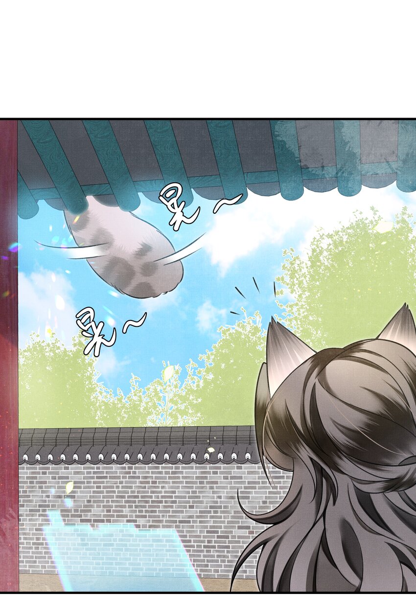 雪豹喜欢咬尾巴小说免费无删减漫画,005 大王的脸，才叫一见难忘1图