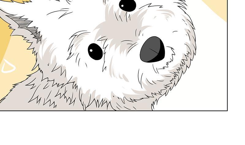 末世恋爱法则吻戏漫画,第74话 试探1图