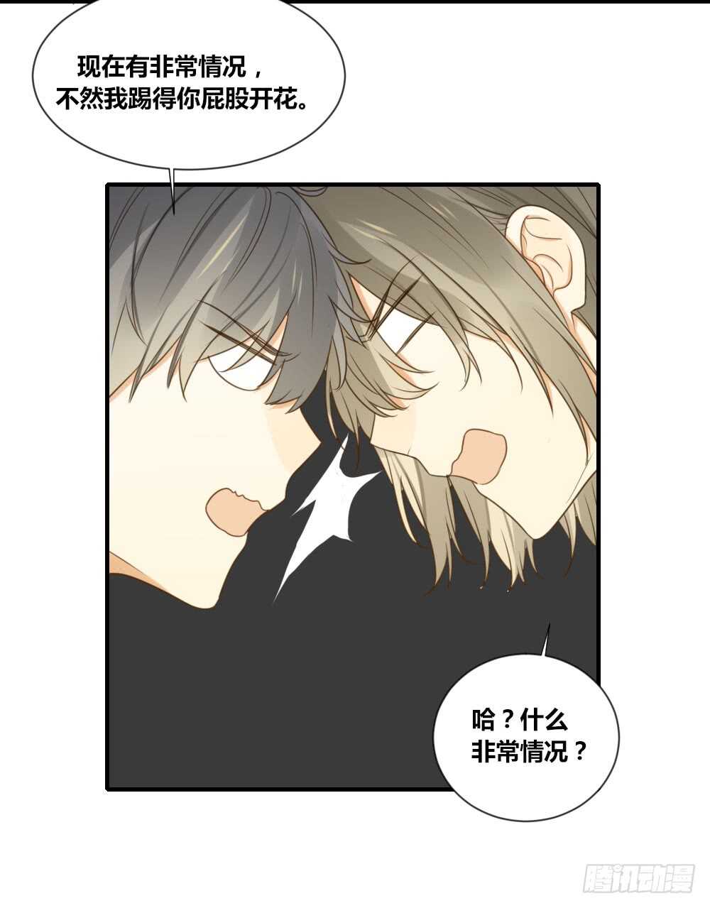 诞下龙种吧！漫画,烛雨共同的敌人1图