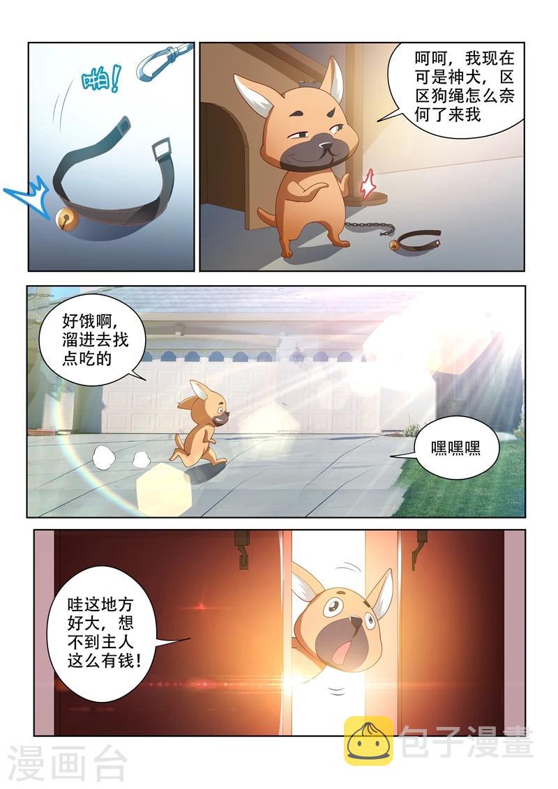 我的微信连三界txt下载全本漫画,第70话 我的狗价值500万1图