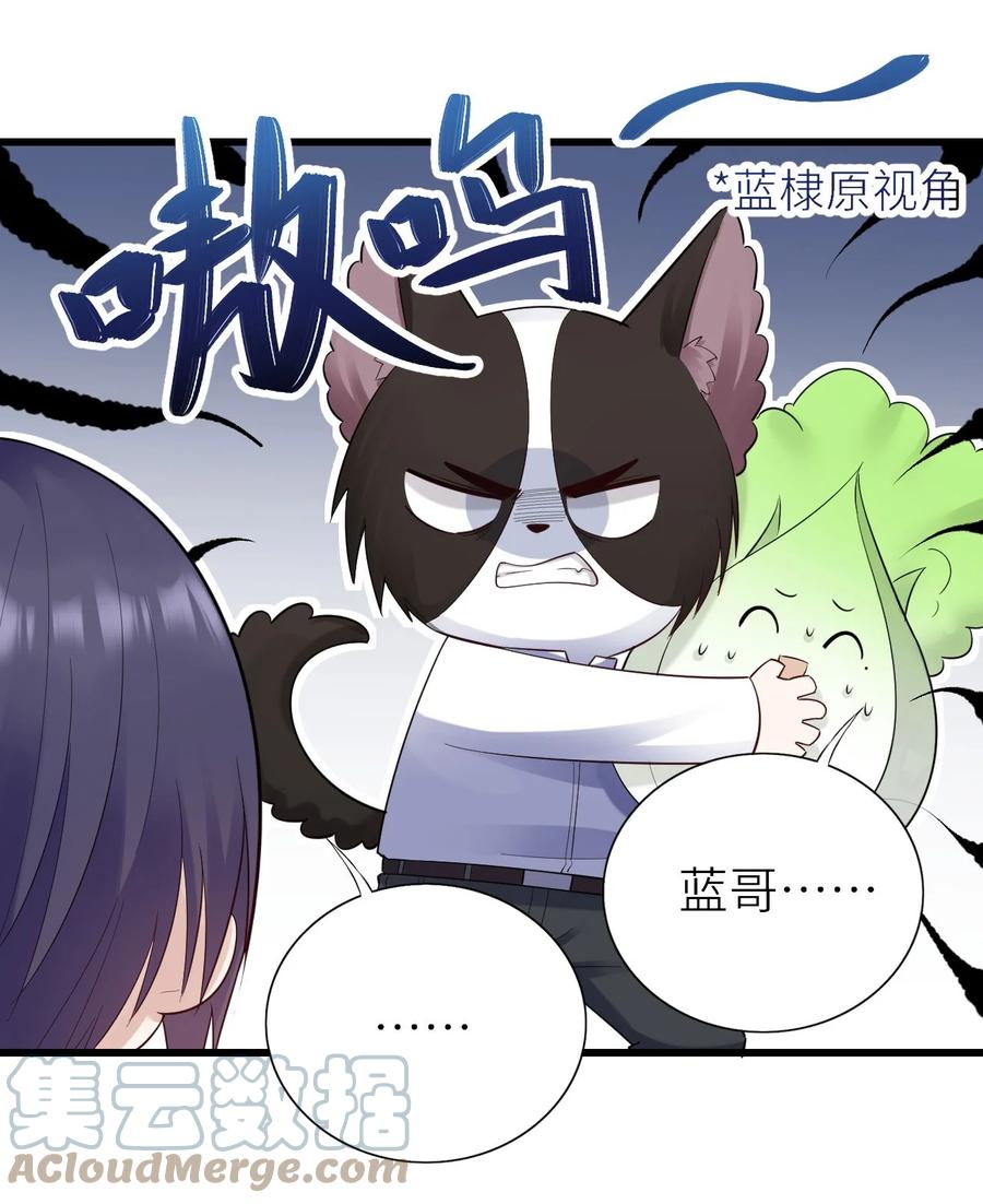 违规行为是漫画,049 承担后果1图