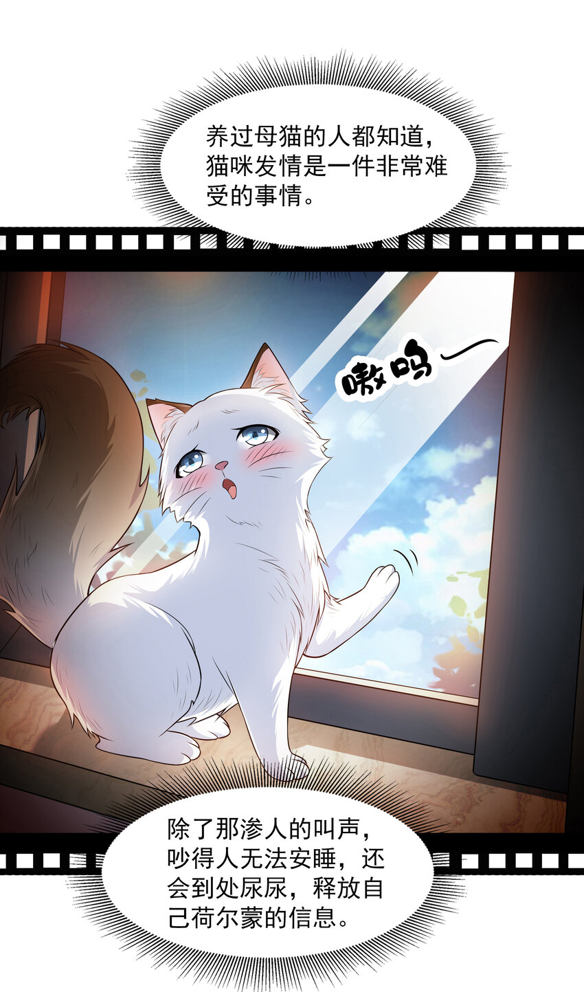 总有人打扰我的挂机生活动漫漫画,4 我的猫变成了美女2图