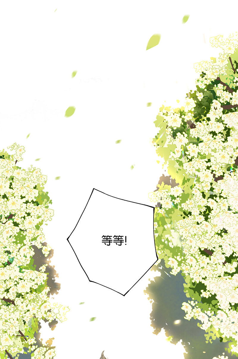 榴花不及春小说免费阅读漫画,000 序1图
