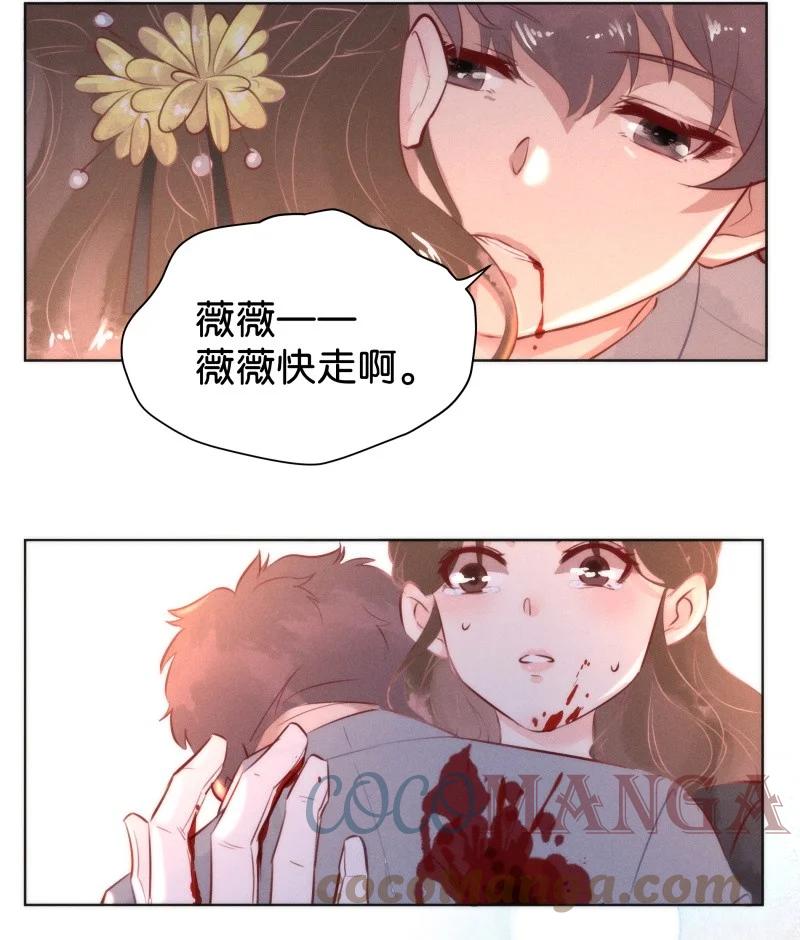 暗香浮动月黄昏疏影横斜水清浅漫画,107 似是故人归421图