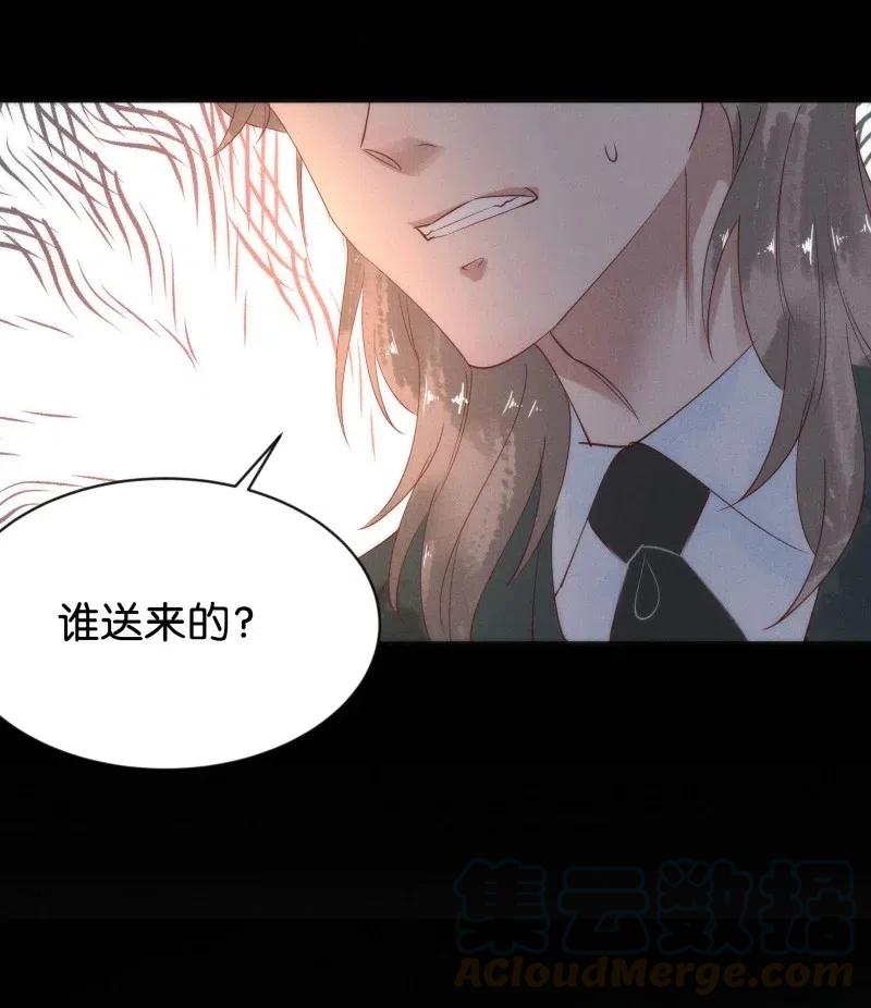 暗香红杏名媛泪漫画,82 似是故人归172图