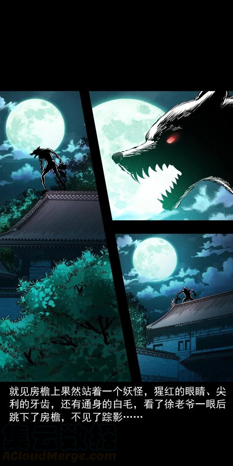 末代天师漫画,八十八话 白毛妖怪1图