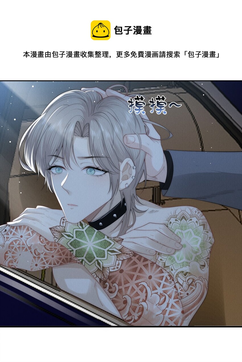 是非者不徒耳目必开心意什么意思漫画,017 佳人1图