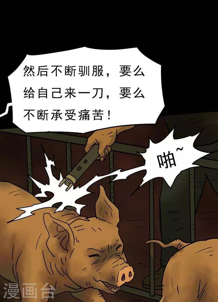 诡异直播我能无限推演txt全文下载漫画,第50话2图