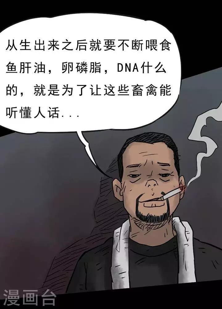 诡异直播我能无限推演txt全文下载漫画,第50话1图