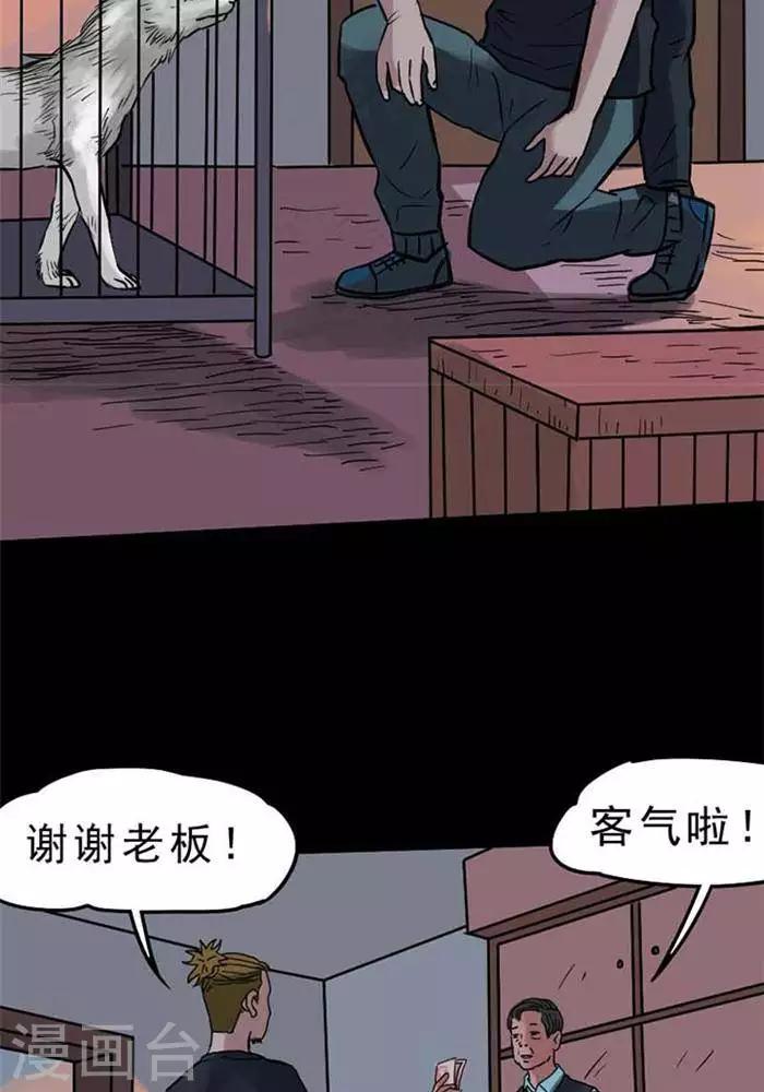 诡异植物大战僵尸大表哥漫画,第69话1图