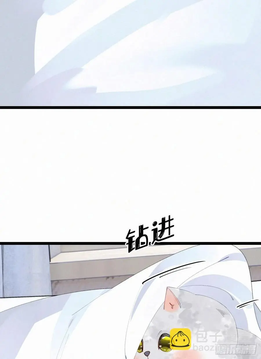 我捡的流浪猫变成人了漫画,75.是时候安排绝育了1图