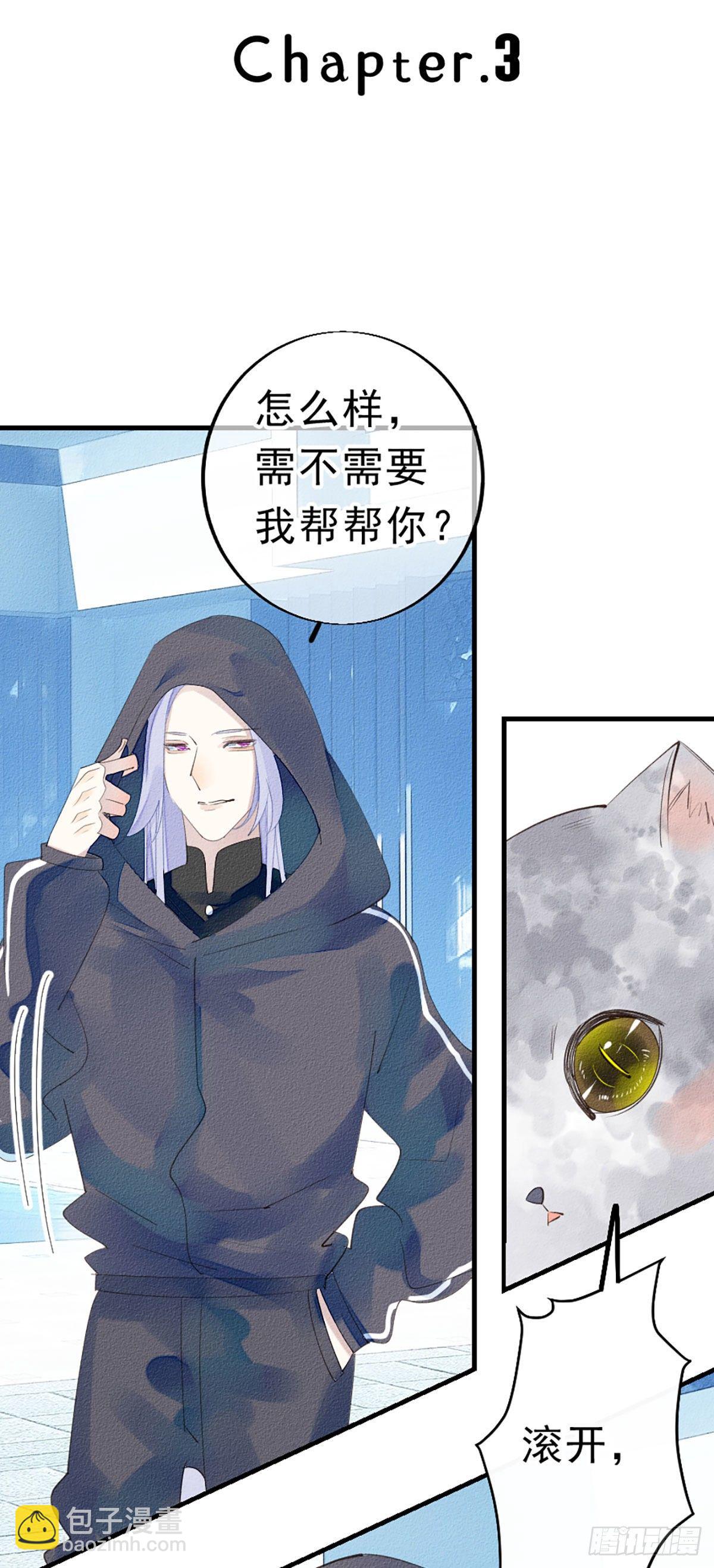 我捡的流浪猫变成人了？漫画,3.震惊，猫咪居然会说话2图