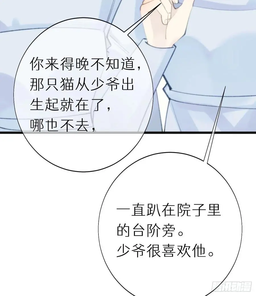 我捡的流浪猫变成人了有小说吗漫画,95.妖丹1图