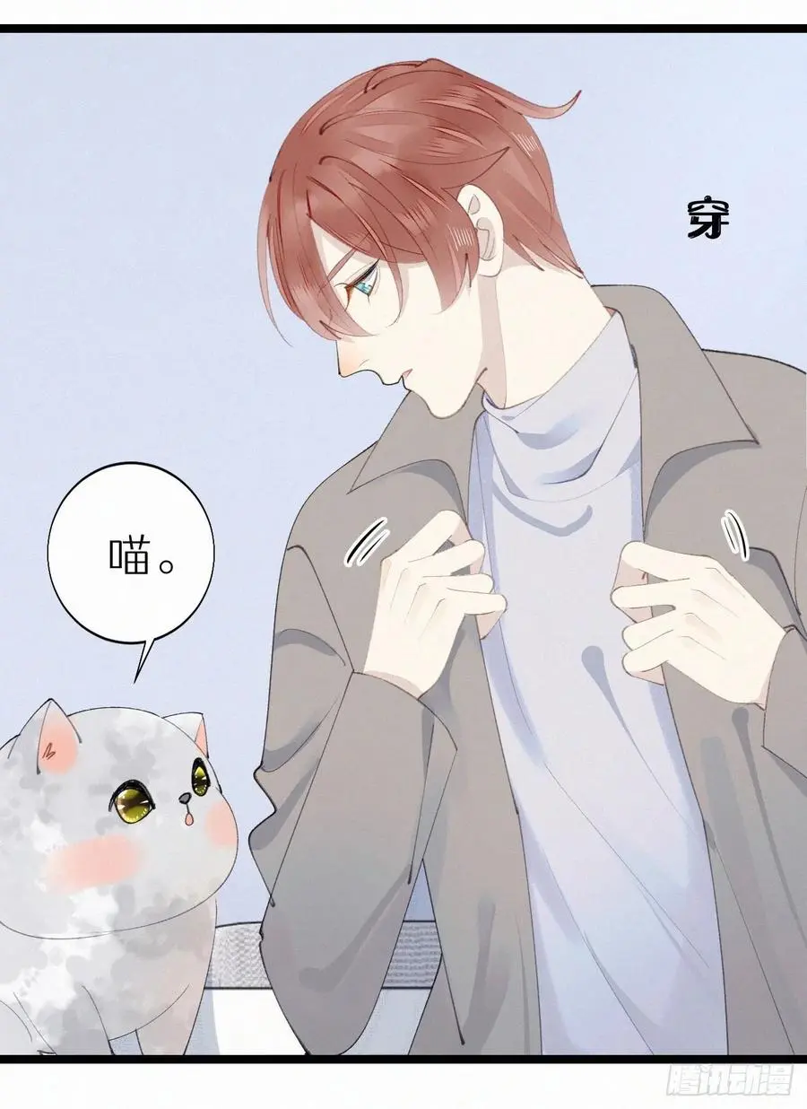 我捡到的流浪猫变成了人漫画,75.是时候安排绝育了2图