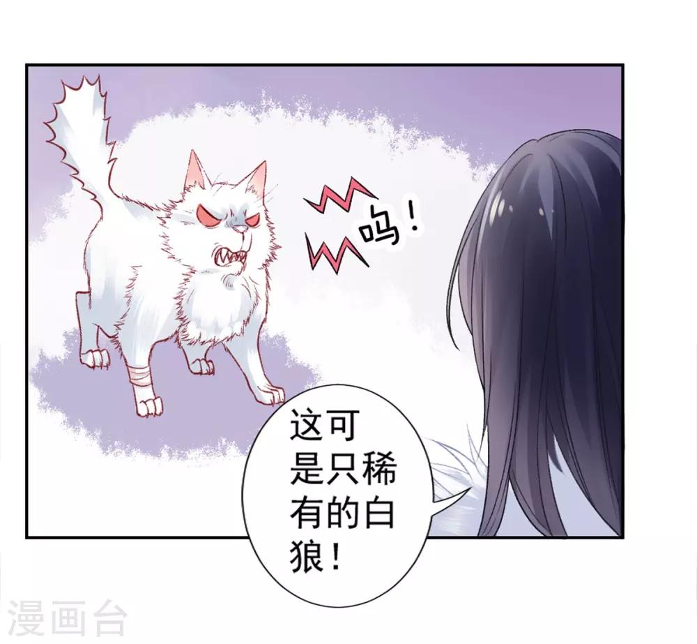 凰妃九千岁漫画,第18话 高呼吾名——杨巅峰！1图