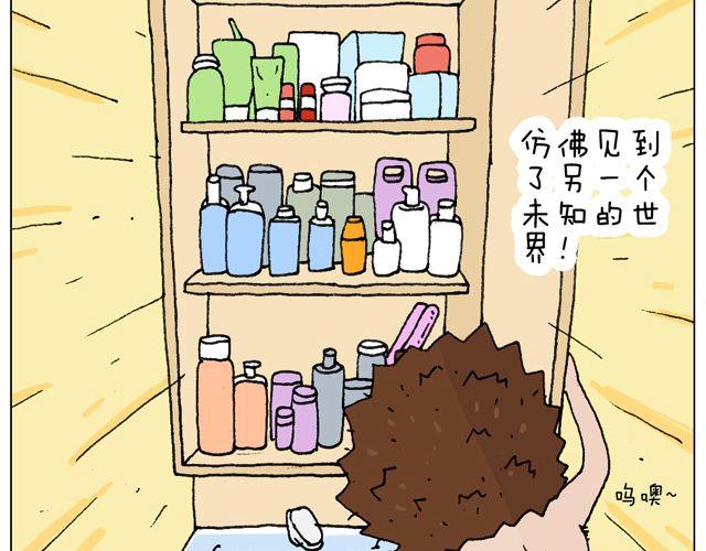 叫我森先生漫画,女人的世界真难懂2图