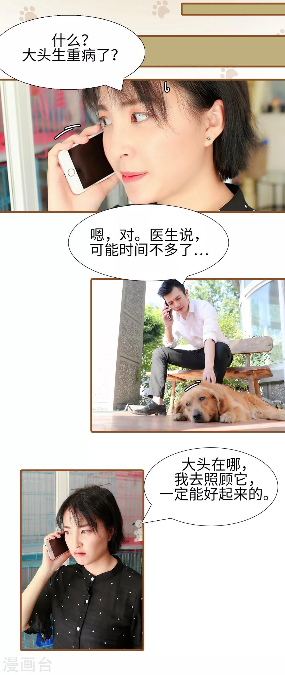 萌宠情缘漫画,最终话1图