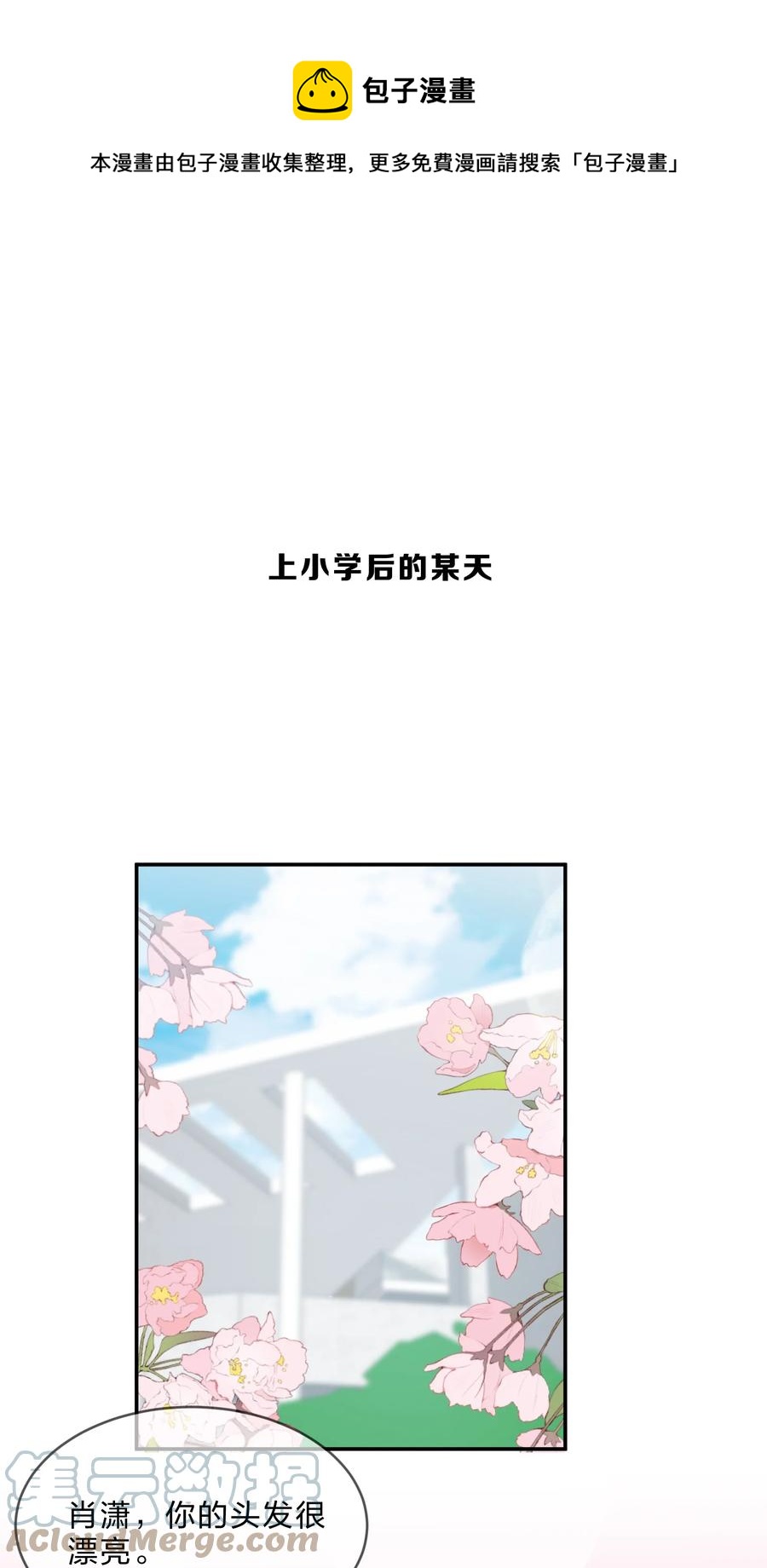 她的谎言韩立小说漫画,062 肖潇1图