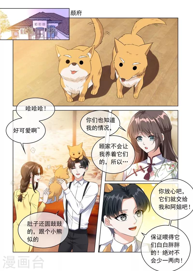 司少你老婆又跑了40漫画,第230话 婚事提前了？1图