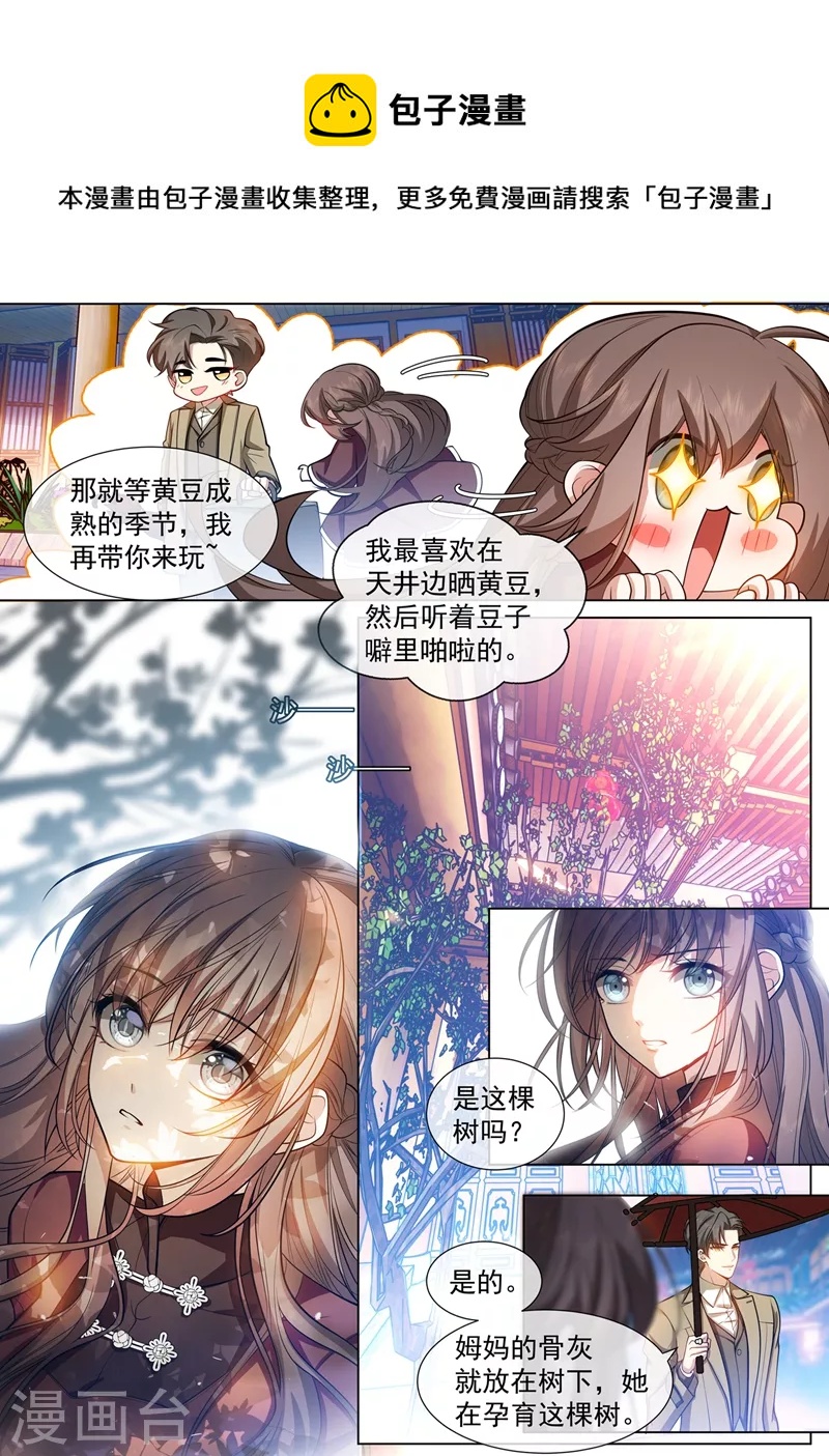 司少你老婆又跑了40漫画,第439话 老宅的梅花树下2图