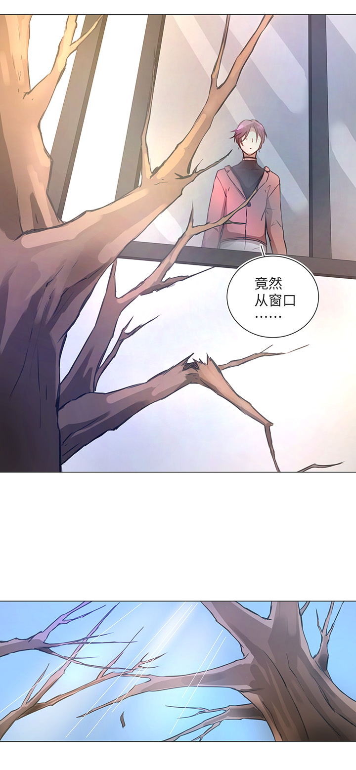 镖局帮妖怪运送盐漫画,80 靠近2图