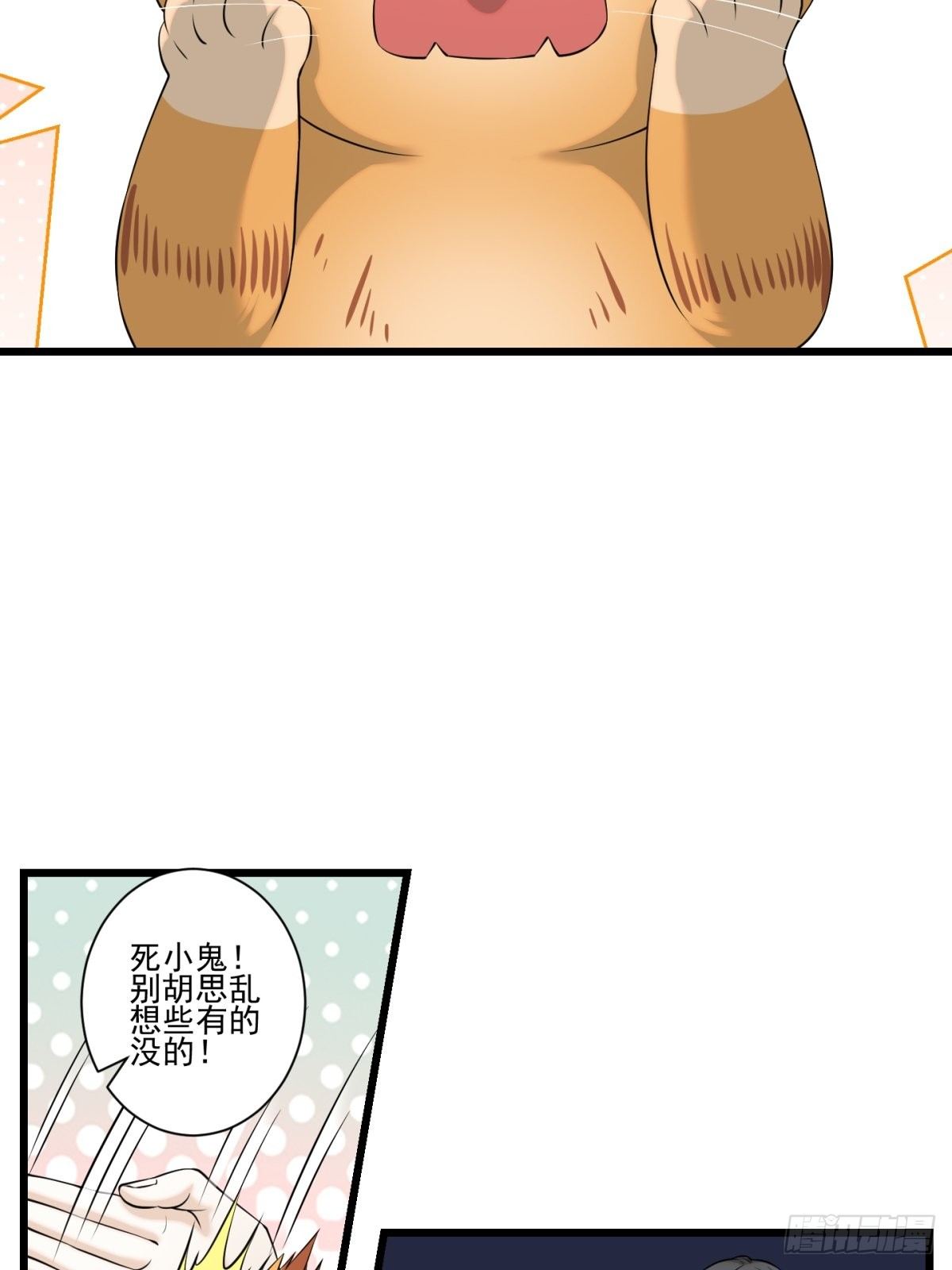 神锁琉璃漫画,猫灵51图
