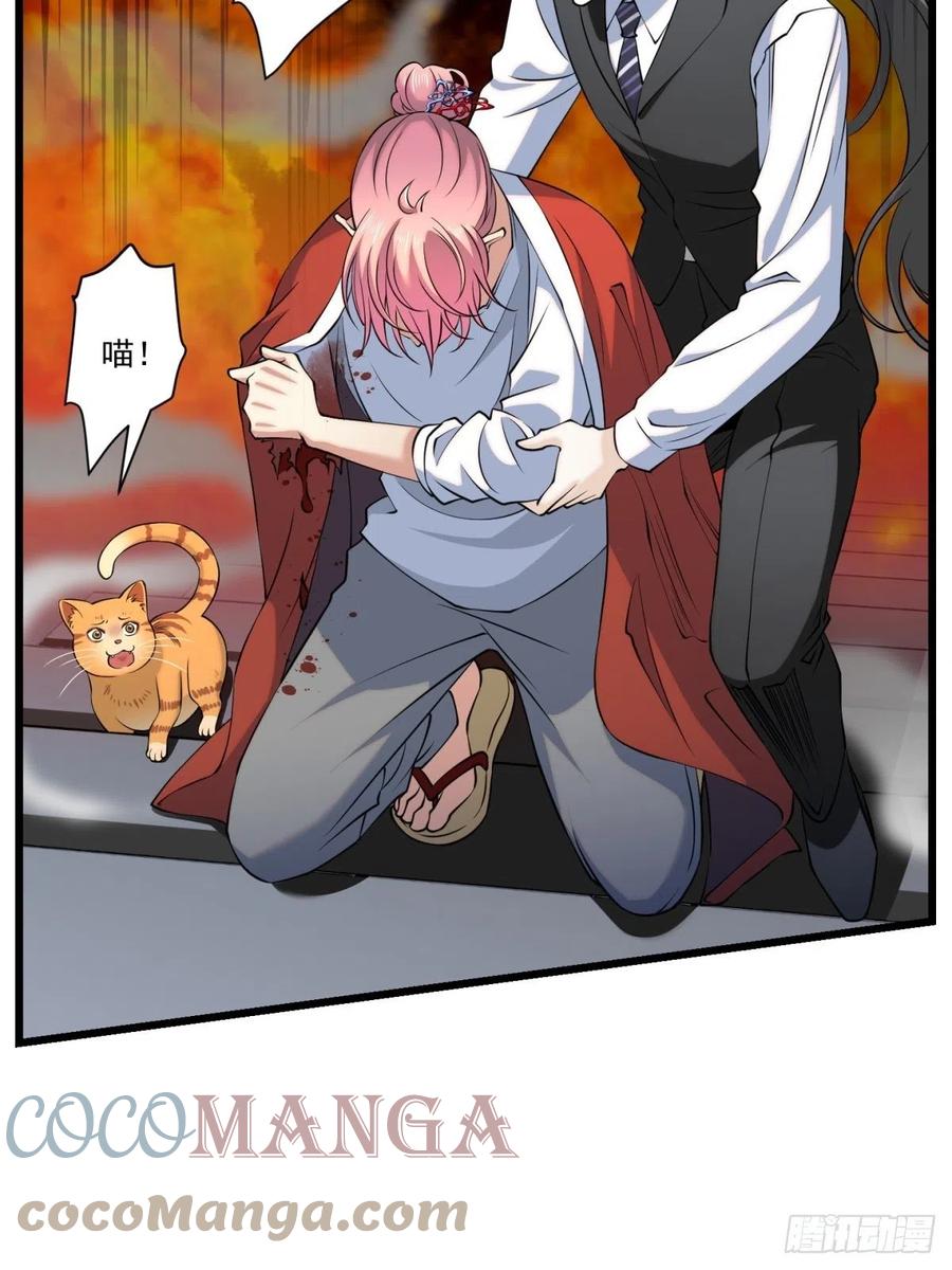 神锁琉璃漫画免费看漫画,猫灵61图