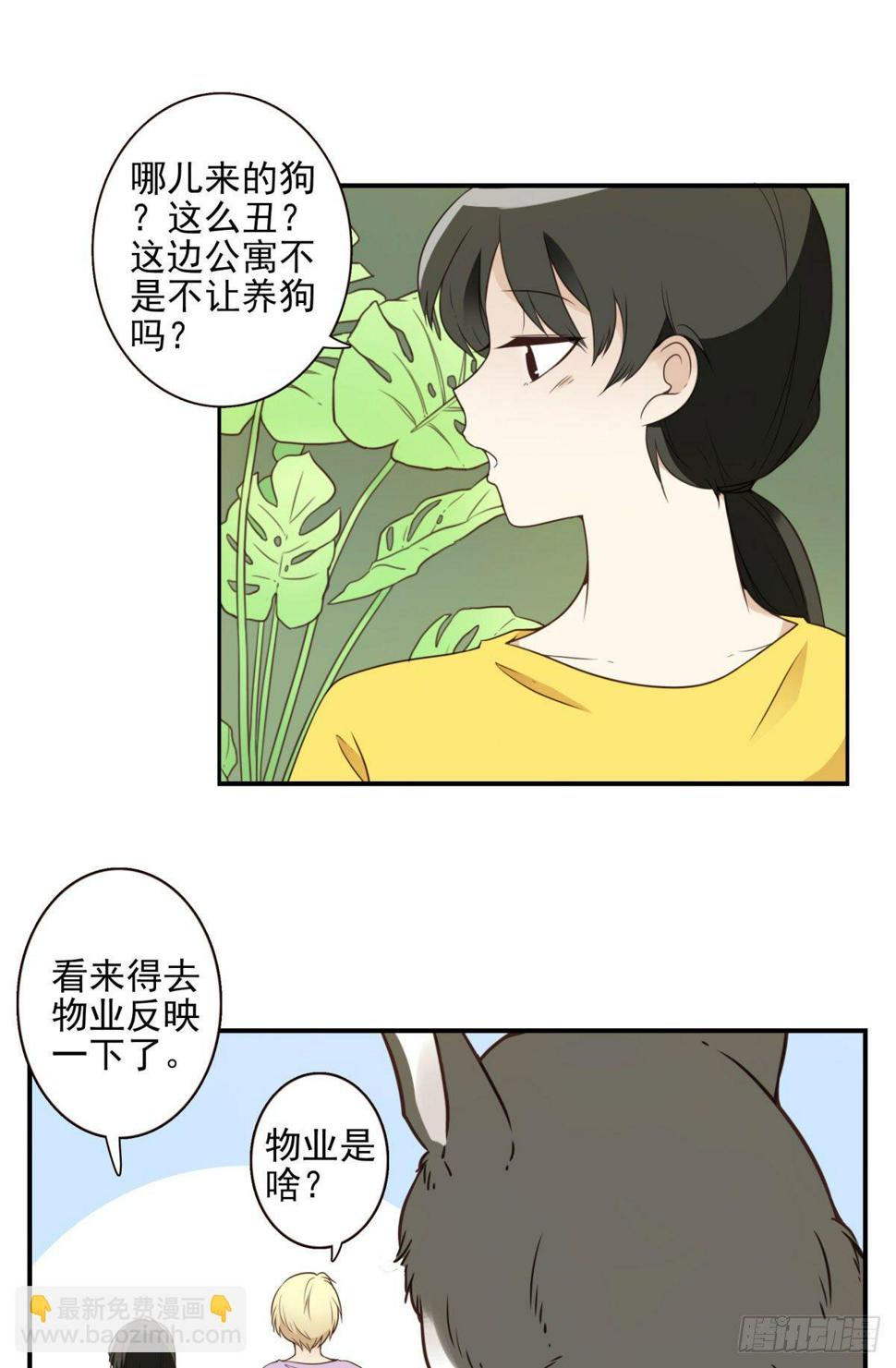 神仙的十二等级划分漫画,006-好丑的狗2图