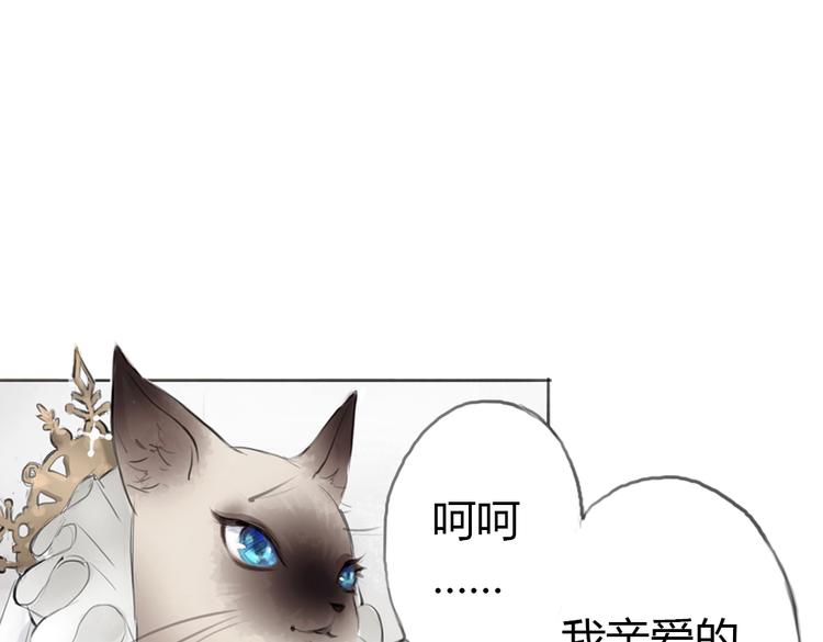 三颗猫饼干动漫漫画,第3话 这些不是我想要的！2图