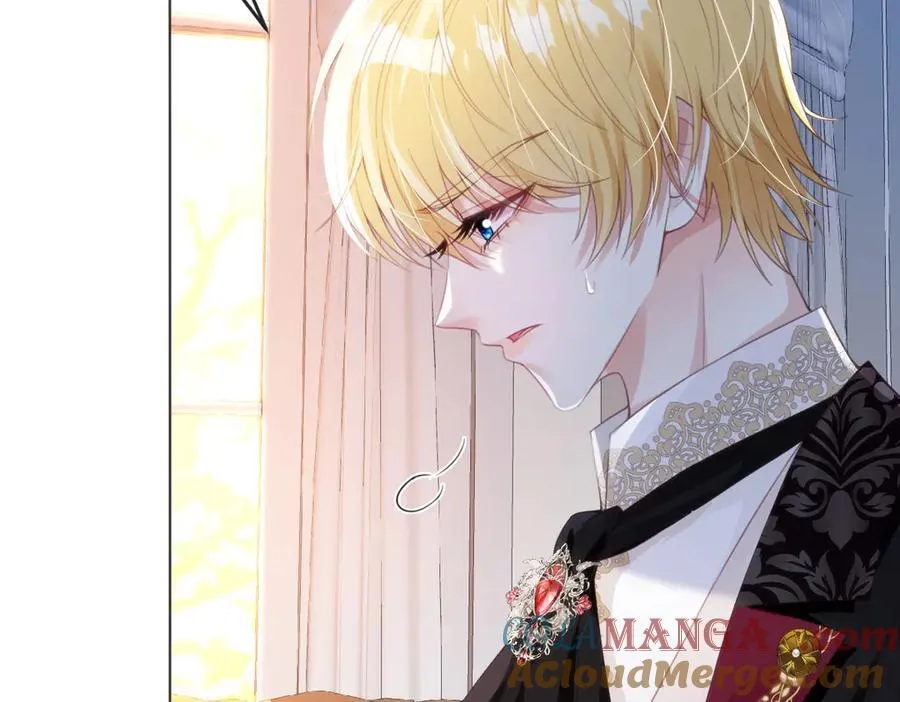 疯批公主她杀疯了众卿修罗场免费漫画,62 莱弥的身世1图