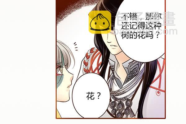 偃师新闻头条最新漫画,06 樱桃树木2图