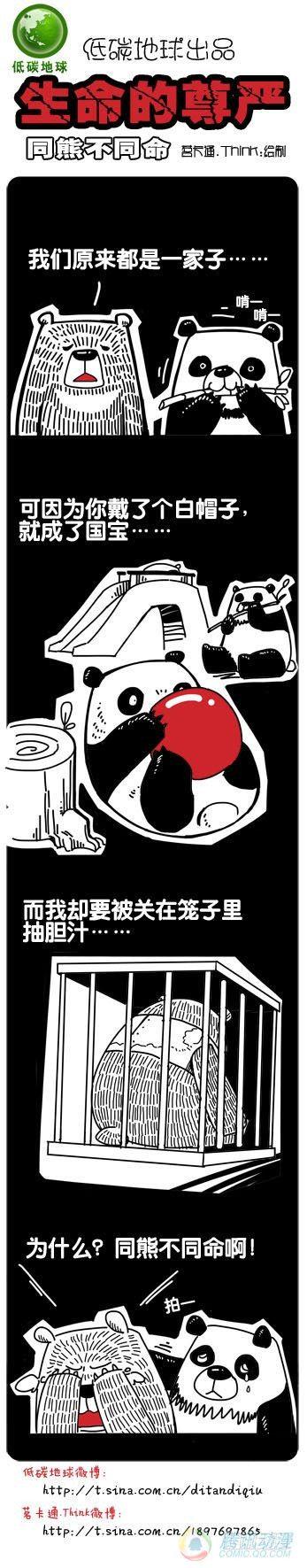 嗨我是熊猫评测漫画,第3集1图