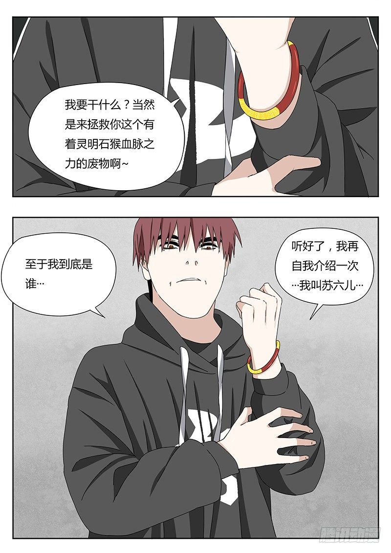 血脉溯源以哪一方为主?漫画,灵明石猴2图