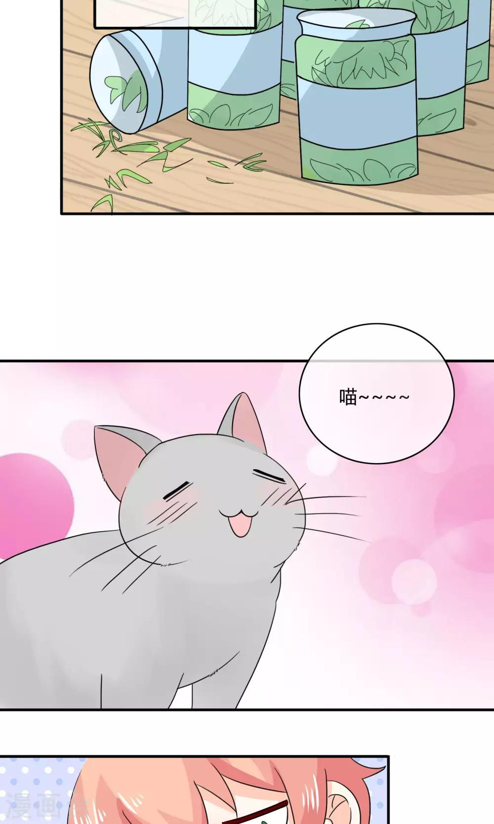 姻缘上上签漫画,第4话 诱猫计划2图