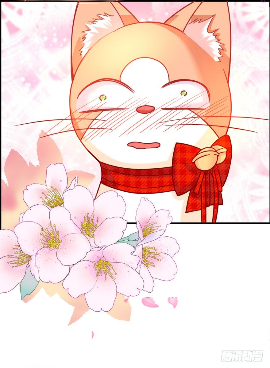 捡个影帝当饲主漫画,我们是个正经的预告！1图